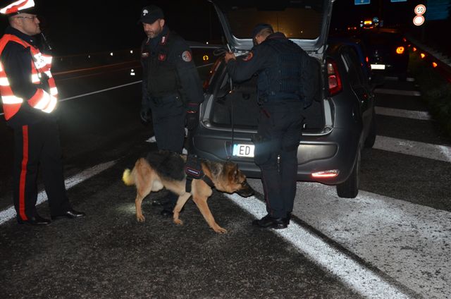 Armi e droga in auto, denunciati due 25enni di Isernia