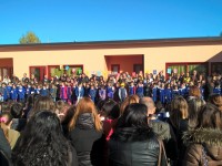 Scuola di via Sant’Antonio dei Lazzari, le aiuole diventano una ‘discarica’ di sassi