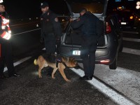 Droga e guida sotto l’effetto di alcol, controlli a tappeto dei carabinieri