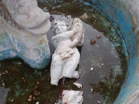 Vandali danneggiano la fontanella di Pozzilli