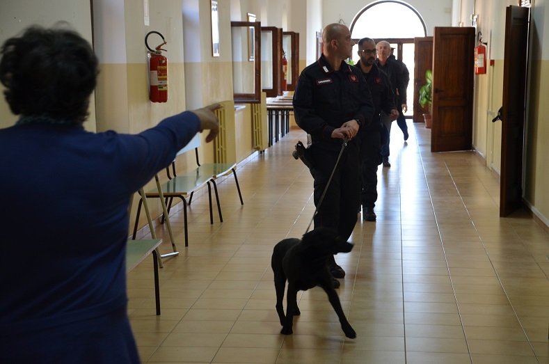 Blitz nelle scuole, i carabinieri sequestrano droga e contanti