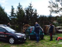 Costruzioni abusive nella discarica già sequestrata, 50enne di nuovo nei guai