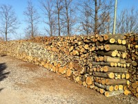 Rubano 10 quintali di legna, nei guai due persone