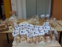 Telethon, a Termoli iniziative dei plessi Difesa Grande e Schweitzer