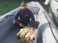 50 kg di marijuana sequestrati al largo della costa molisana