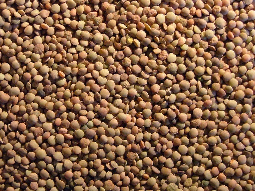 Capracotta e Castelluccio, Natale solidale con la lenticchia fil rouge