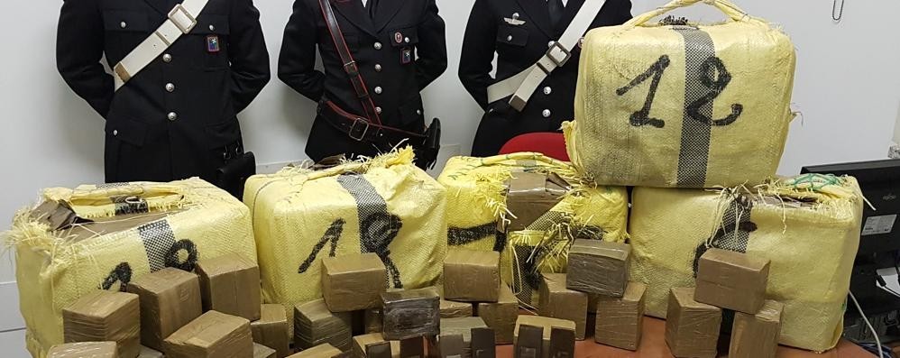 In casa con 2 milioni di euro in droga, arrestato 44enne residente nel campobassano