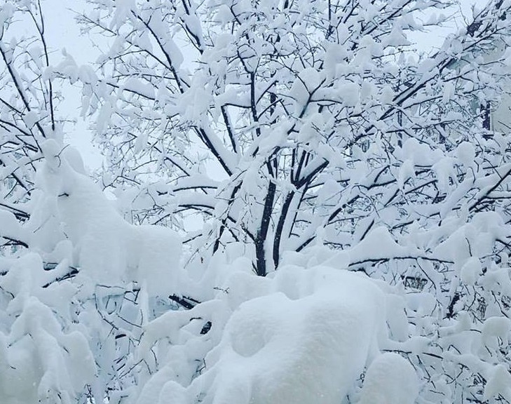 Scuole, Fossalto chiude lunedì. A Bojano stop anche martedì. A Pescolanciano chiusura di una settimana