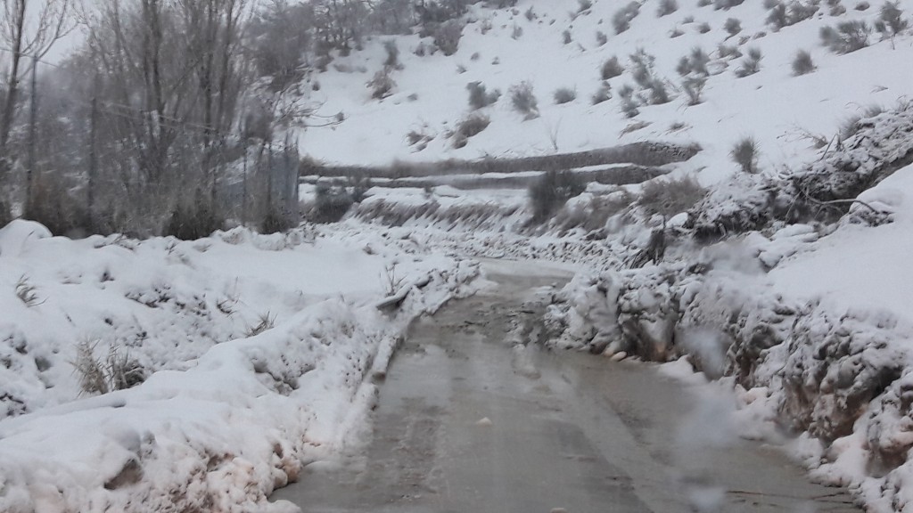 Provinciale 163, nuovo consistente movimento franoso