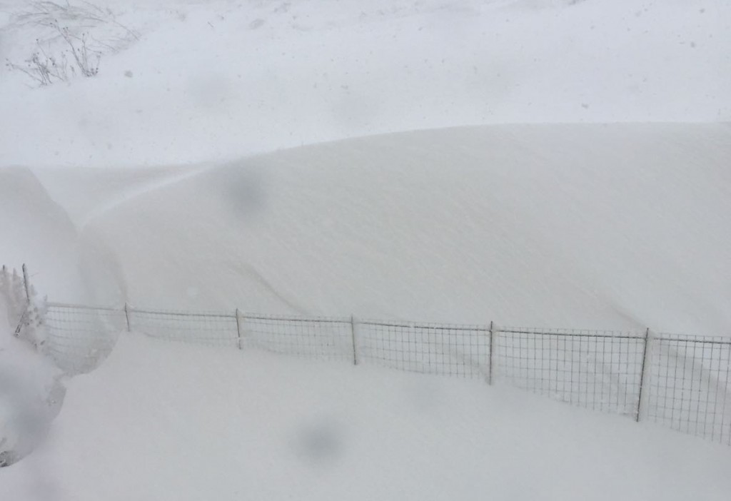 Scuole, ecco l’elenco di quelle chiuse per neve