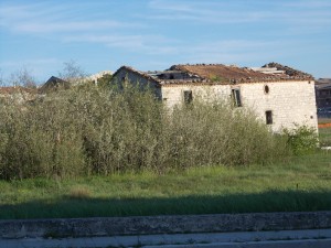 DSCN2648