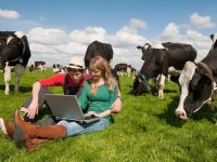 Finanziamenti ai giovani agricoltori, oltre 5 milioni dal Psr