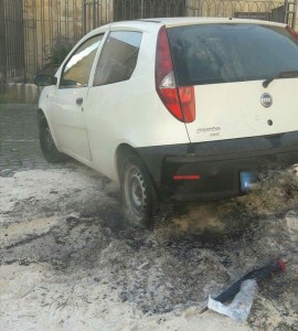 received_10210885049273750_1-01