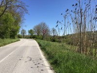 Strade provinciali dissestate, la soluzione? «Rallentate»