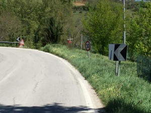 provinciale gildonese (10)