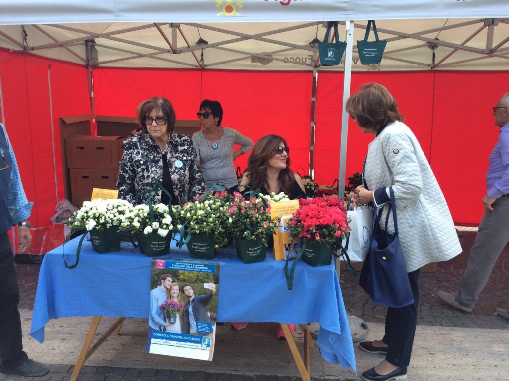 Azalea alle mamme, fondi alla ricerca  sul cancro: Airc in piazza