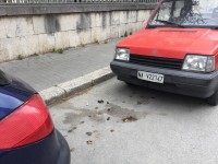 Marciapiedi invasi dai bisogni dei cani, in via Garibaldi a Campobasso monta la protesta