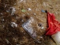 Isernia, in un reportage gli scatti sull’incuria e il degrado che regnano nel capoluogo