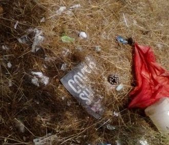 Isernia, in un reportage gli scatti sull’incuria e il degrado che regnano nel capoluogo