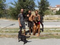 Il fantastico viaggio  a piedi di Alberto, Greba e Gabriele