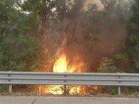 Incendio lungo la  Bifernina, le fiamme sfiorano la carreggiata