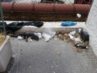 Bene l’integrazione, purché sia nel rispetto delle regole