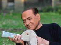 Berlusconi animalista manda su tutte le furie i cacciatori: «Siamo pochi? Ma all’avanguardia rispetto ai politici»