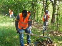 Lavori socialmente utili, il Comune ‘assume’ i migranti