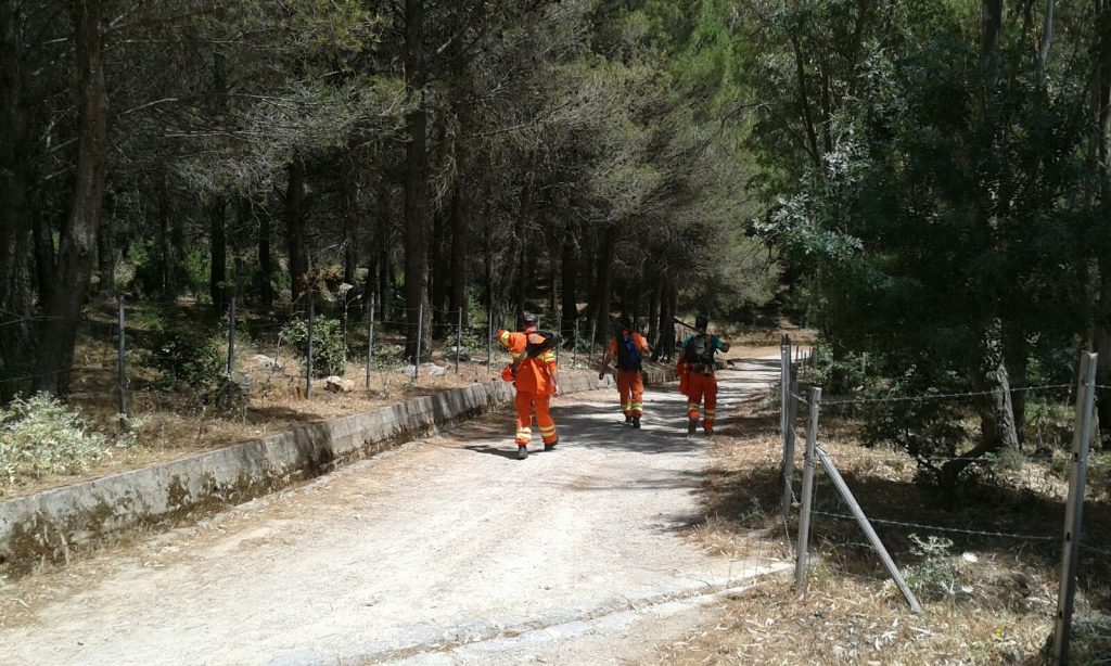 Instancabili sul fronte incendi, l’Usb chiede certezze per i forestali