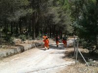 Instancabili sul fronte incendi, l’Usb chiede certezze per i forestali