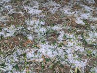 Grandine colpo di grazia, Sos di quattro associazioni a Facciolla