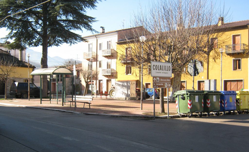 Investe un cinghiale: danni all’auto, lei esce illesa