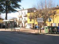 Investe un cinghiale: danni all’auto, lei esce illesa