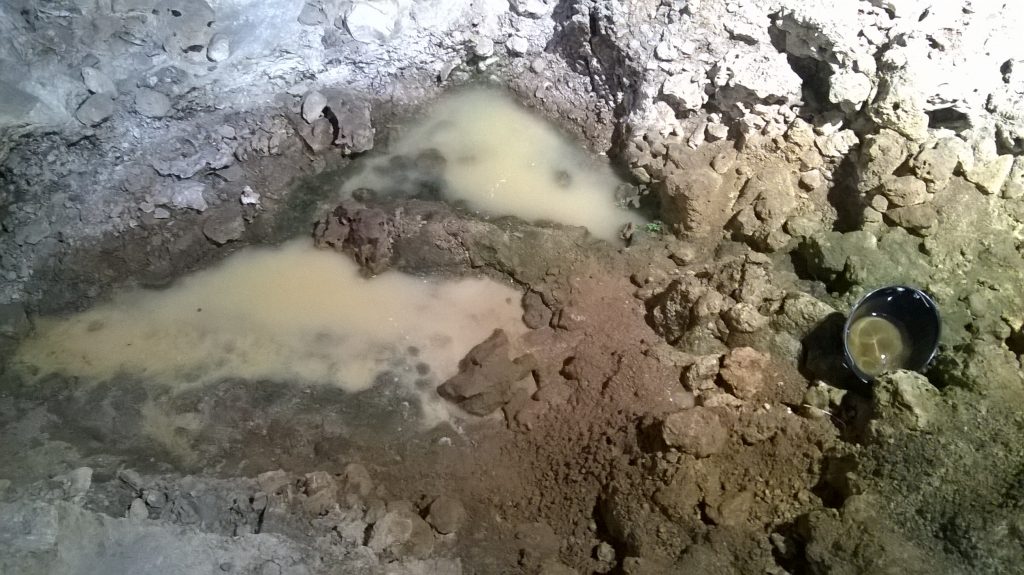 Infiltrazioni d’acqua al Paleolitico, chiesto l’intervento del ministro