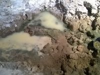 Infiltrazioni d’acqua al Paleolitico, chiesto l’intervento del ministro