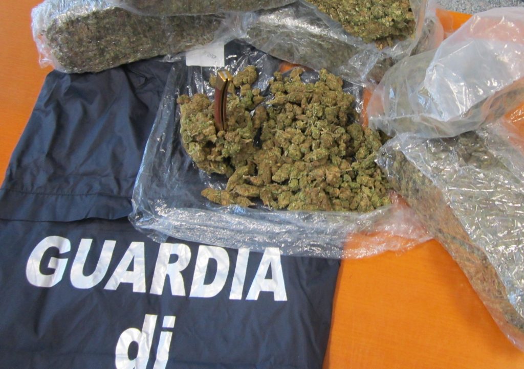 Nove chili di marijuana nella villa di famiglia, arrestato a Termoli Nick De Palma