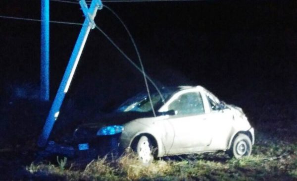 Auto contro un traliccio per evitare un cane