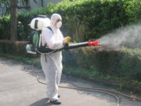 Disinfestazione adulticita a Campobasso, venerdì e sabato operazioni in tutta la città