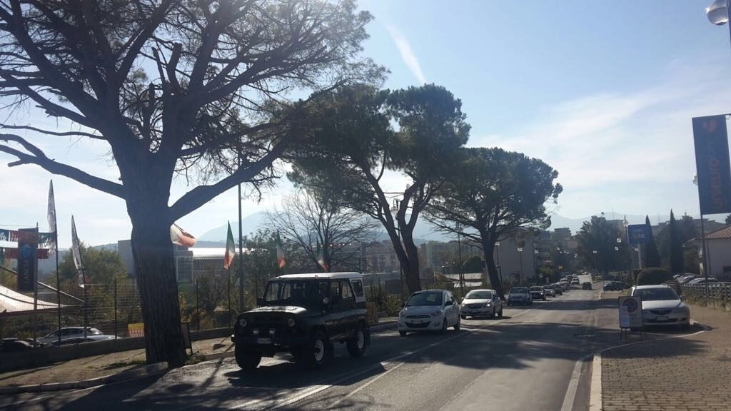 Taglio dei pini secolari ad Isernia. Esplode la rabbia in cittÃ