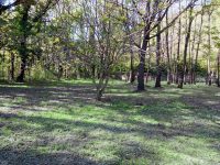 L’amore è per sempre: Apre a Carpinone il cimitero per animali