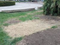 Smontata la casetta ‘abusiva’ in villa Musenga a Campobasso, presto i lavori per sistemare il parco giochi