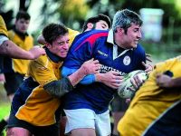 Gli Artisti molisani sul palco del Palaunimol di Campobasso per ricordare mister Credico