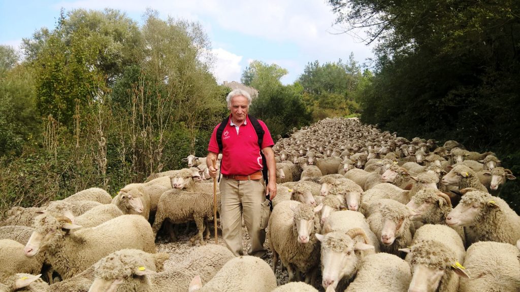 Transumanza, ultima occasione per far rinascere l’ottuso Molise