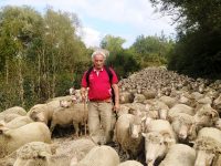 Transumanza, ultima occasione per far rinascere l’ottuso Molise