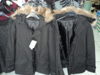 Pellicce di procione e farfalle da collezione, maxi sequestro dei Forestali a Campobasso