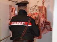 Controlli del Nas nelle macellerie di Isernia e provincia. Sequestrato mezzo quintale di carne