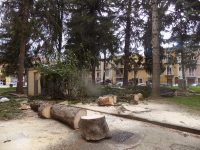 Serata da incubo a Bojano. Il vento scatena l’apocalisse in città