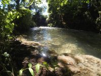 Isernia, schiuma bianca nel fiume Carpino allarma i cittadini