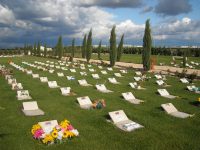 A Termoli un cimitero degli animali domestici