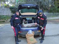 Colpo sventato a Bonefro, il basista accusato di concorso in rapina